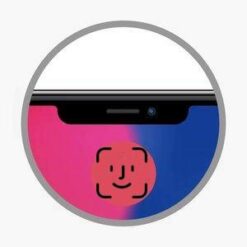 iPad Pro 11 1º – Reparar FaceID